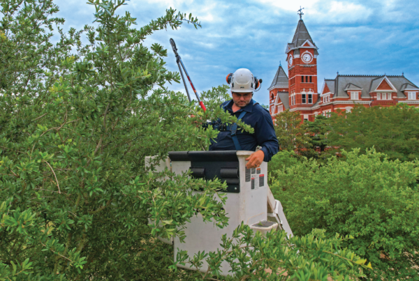 Dalton Sconyers, arborist and field supervisor, operates a bucket truck to safely prune branches.