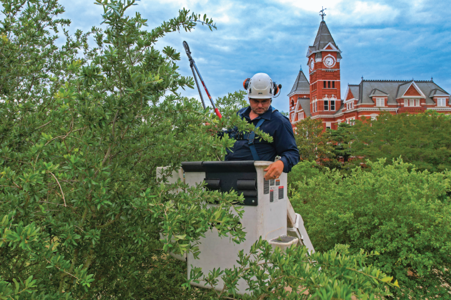 Dalton Sconyers, arborist and field supervisor, operates a bucket truck to safely prune branches.