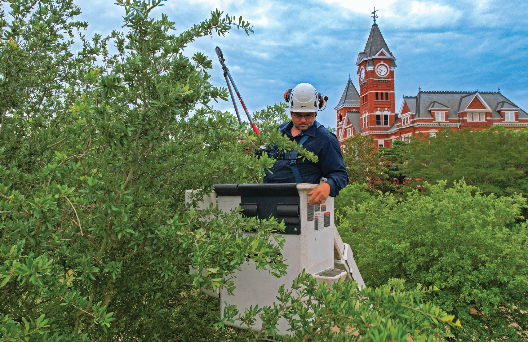 Dalton Sconyers, arborist and field supervisor, operates a bucket truck to safely prune branches.