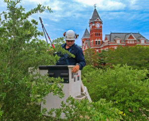 Dalton Sconyers, arborist and field supervisor, operates a bucket truck to safely prune branches.