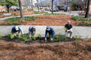 Landscaping works on a beautification project.